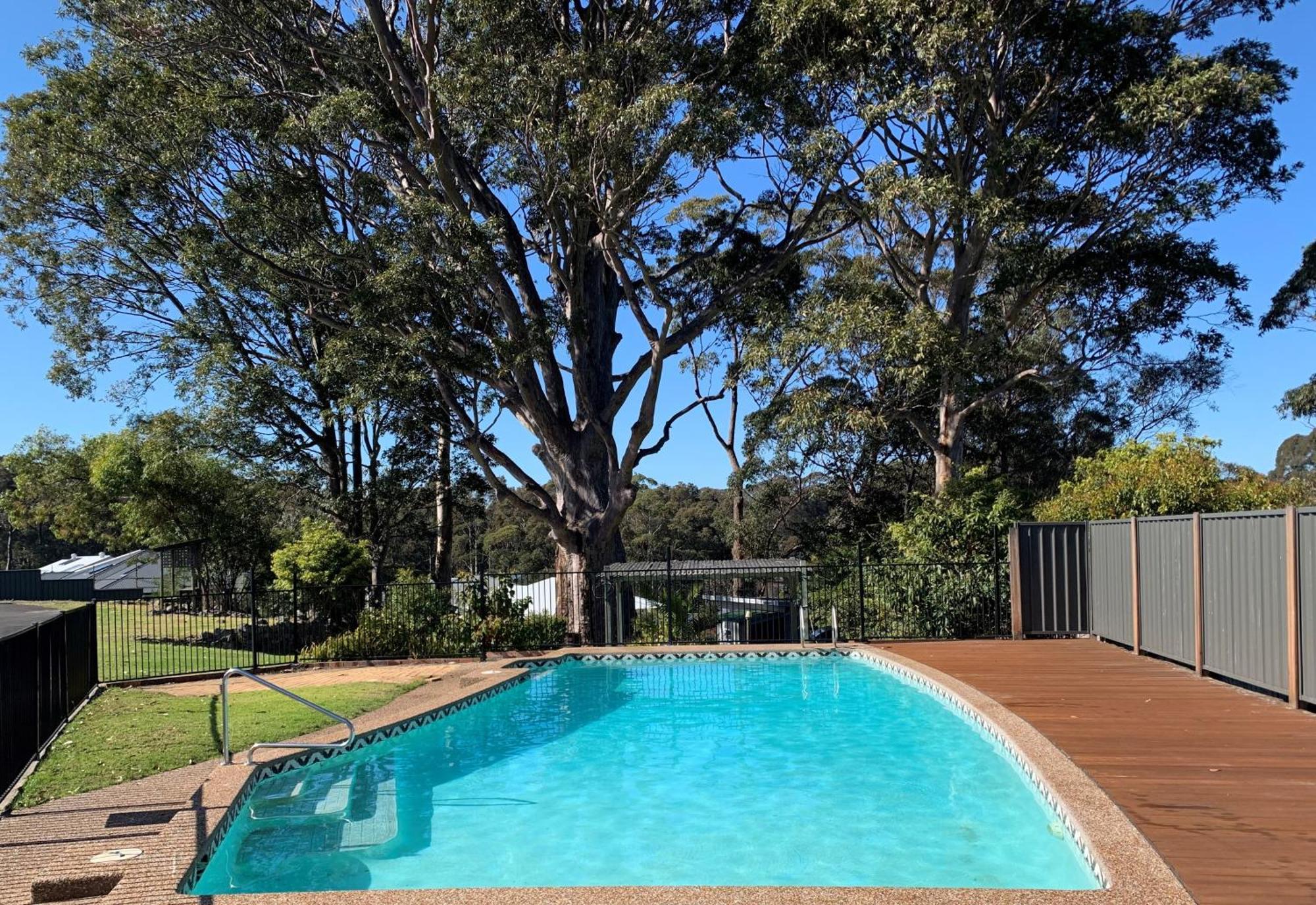 The Tree Motel Narooma Exterior photo