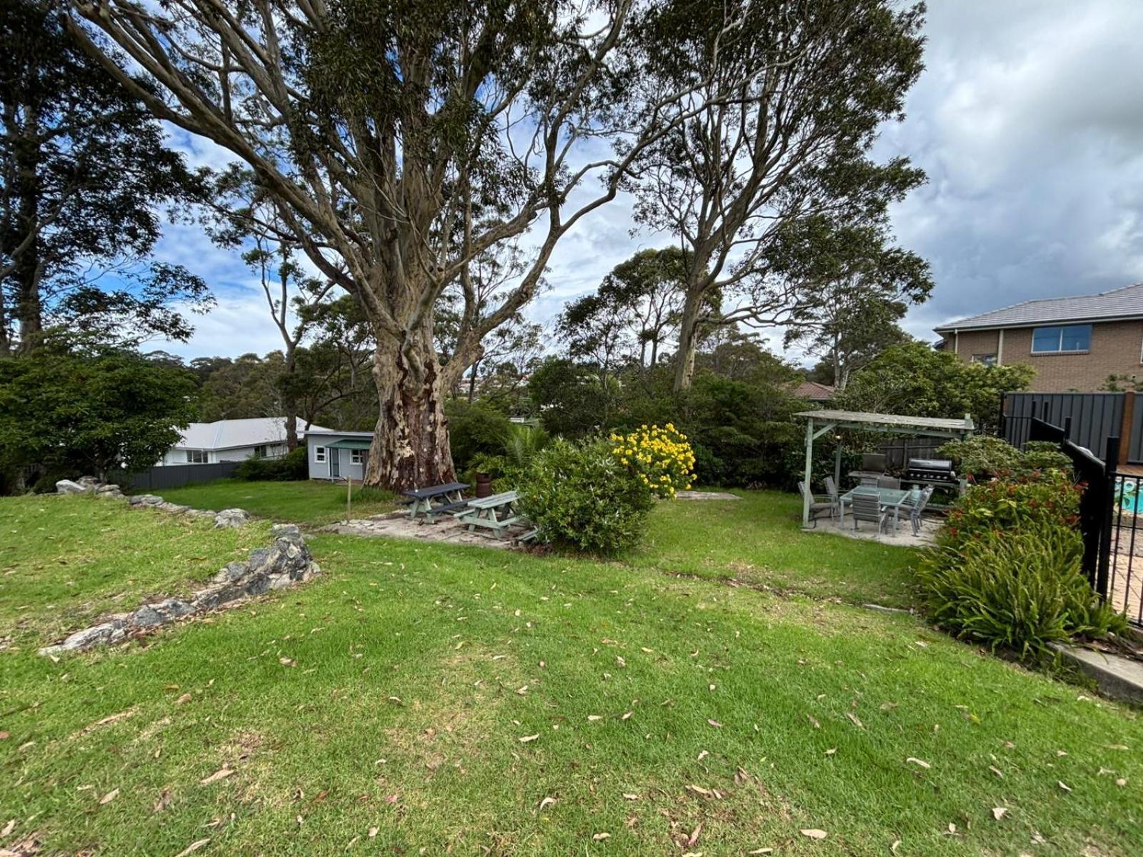 The Tree Motel Narooma Exterior photo